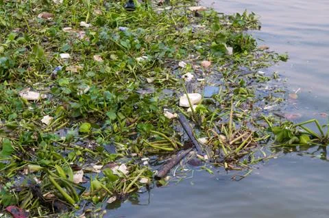 Pollution in the river ocean Stock Photos