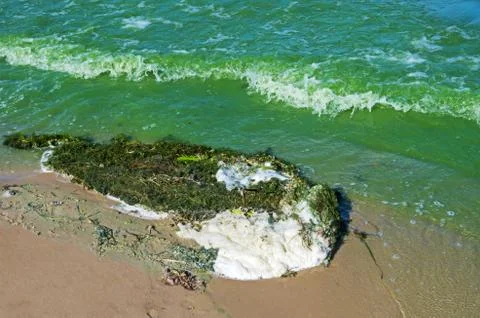 Pollution river Foto stock