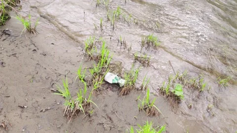 Pollution of the river with plastic. 스톡 동영상 154121140