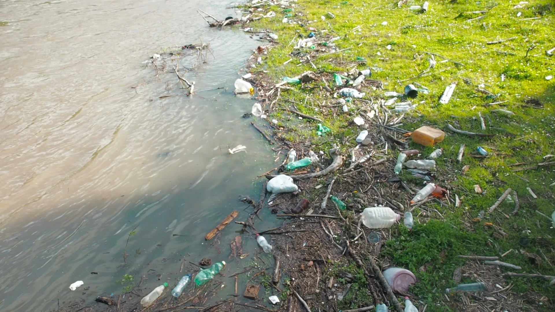 Ecological Water Pollution