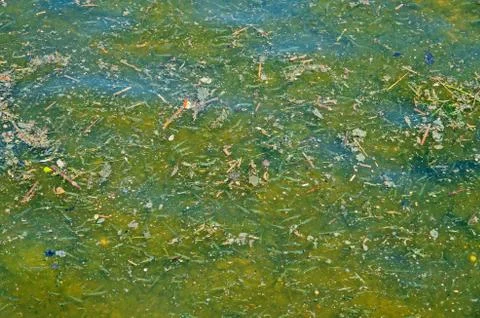 Pollution of river by sewage Stock Photos