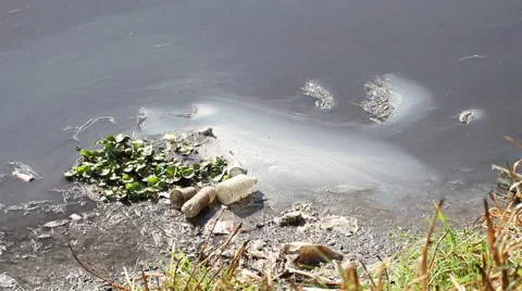 Pollution in the river water  contaminated by plastic garbage Video stock 67728863