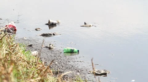 Pollution in the river water  contaminated by plastic garbage Stock-Footage 67728966