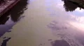pollution on river, zoom in HD 동영상