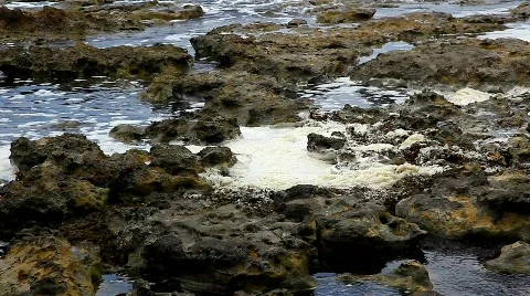 Pollution on sea water 스톡 동영상 771561