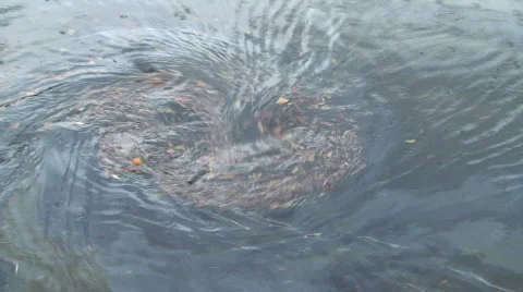 Pollution Storm Drain Stock Footage
