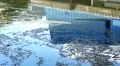 Pollution Toxic on River reflection of the factory zoom Video HD