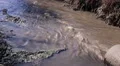 pollution toxic  water from pipes in small pond Video HD