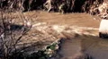 pollution toxic  water from pipes in small pond HD 동영상