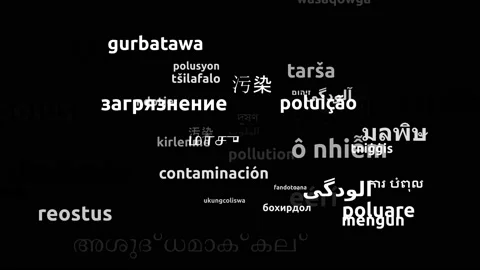 Pollution Translated in 47 Worldwide Languages Endless Looping 3d Zooming Wor Stock Footage 145200255