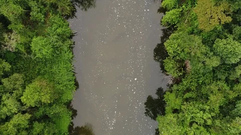 Pollution Water in Amazon River, Brazil Stock Footage 80358245