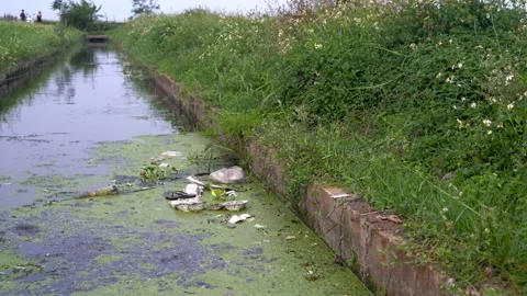 Pollution in a water channel Stock Footage 237700974