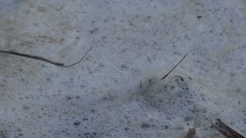 Pollution in water close up background of foam on surface UK 4K 스톡 동영상 147707732