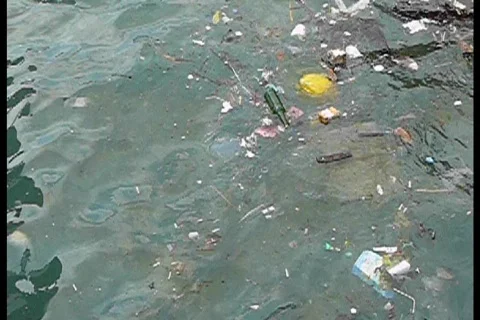 Pollution water Video stock 799876