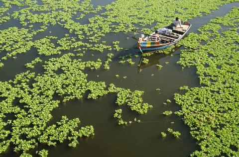 Pollution of the water surface of the earth Stock Photos