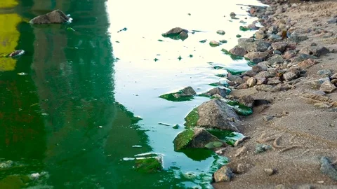 Pollution on water surface. Stock Footage 78729400