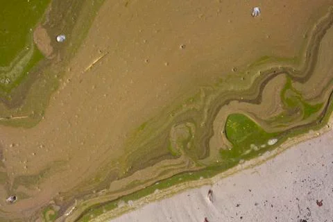 Pollution on water surface Stock Photos