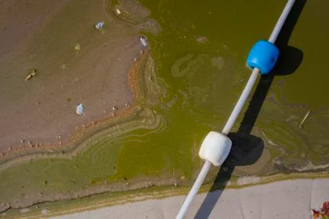 Pollution on water surface Stock Photos