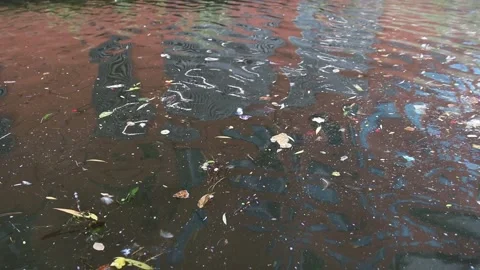 Pollution in water with trash, plastic, garbage at the surface Stock Footage 137668395
