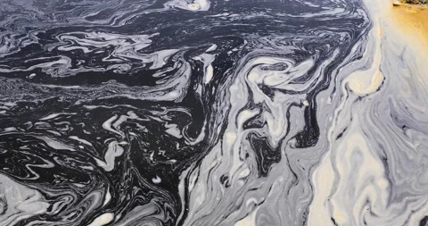 Pollution waters of a river, close-up Stock Footage 130710502