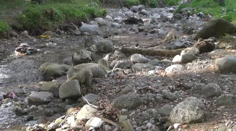 Pollution.River contaminated with trash. Video stock 20626557