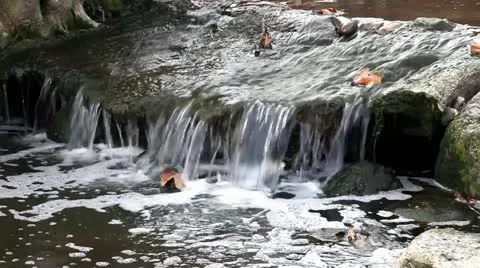 Pollutted Stream Stock Footage 10861600