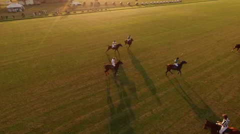 Polo challenge during sunsetSlight slow motion. Aerial. N Video stock 64635839