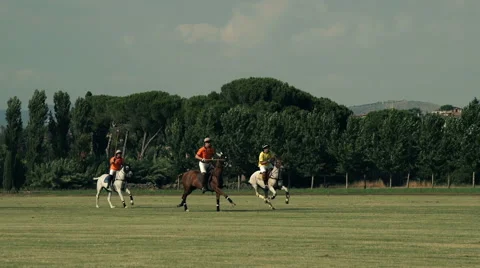 Polo challenge. Slight slow motion. N Stock Footage 64640088