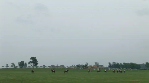 Polo field Stock Footage 524553