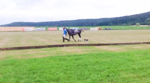 Polo game in Bavaria, Germany Stock Footage 67574407
