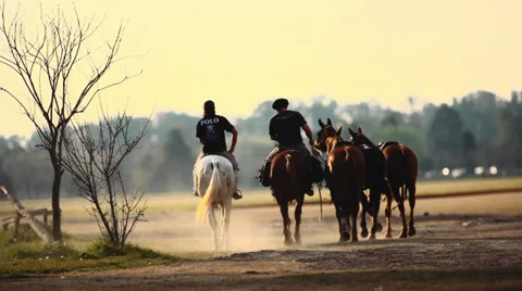 Polo Horses 動画素材 28666096