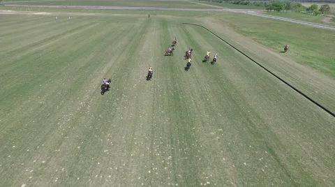 Polo match drone scene. Vídeo Stock 56834147