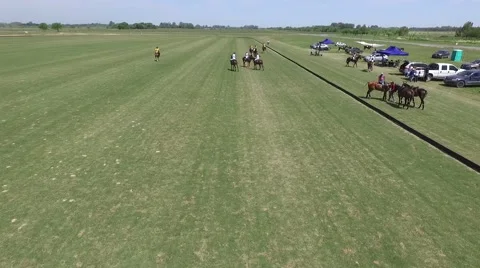 Polo match drone scene. Vídeo Stock 59801680