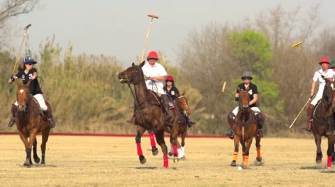 Polo match Stock-Footage 28534544