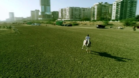 Polo Match in ground Stock Footage 108438350