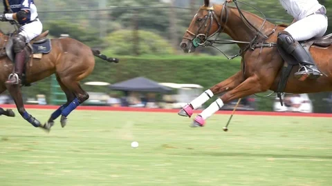 Polo match in slow motion 库存影片 95643929
