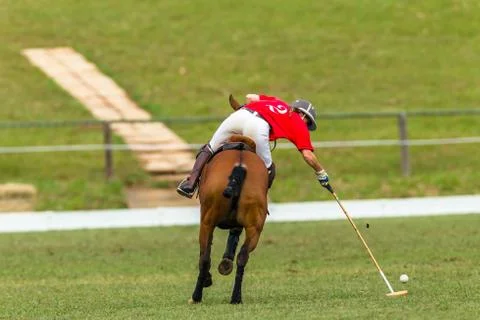 Polo Player Action Stock Photos