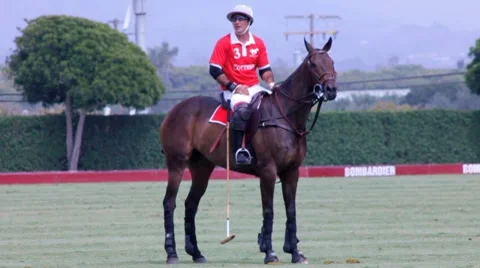 POLO PLAYER AND REFEREE Stock Footage 7134953