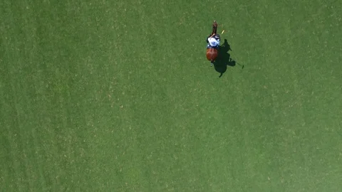 Polo player at full speed Stock Footage 127778268