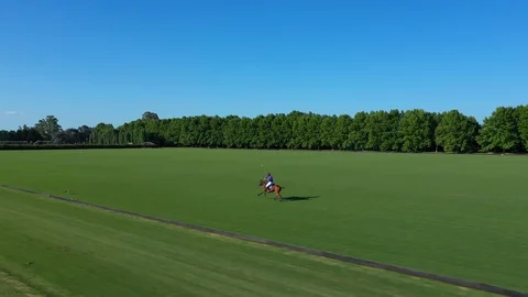 Polo player at full speed Stock Footage 127778451