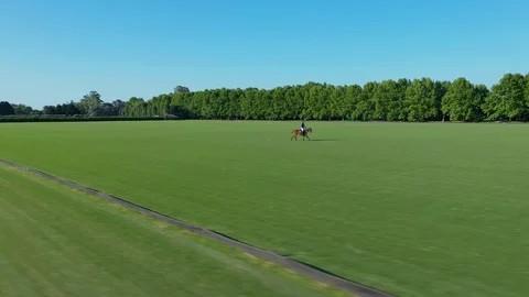 Polo player at full speed Stock Footage 127778452