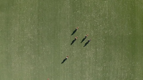 Polo player at full speed Stock Footage 127780010