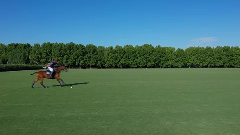 Polo player at full speed Stock Footage 127780458