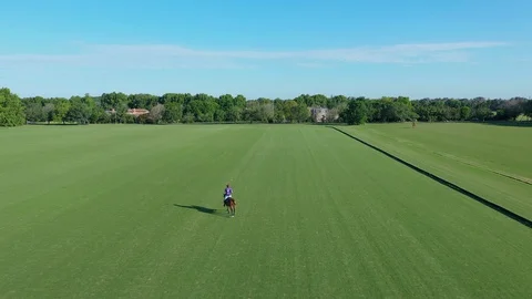 Polo player at full speed Stock Footage 127780840