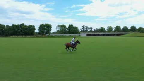 Polo player at full speed Stock Footage 127781393