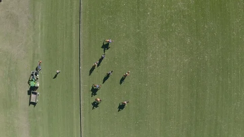 Polo player at full speed Stock Footage 127781881