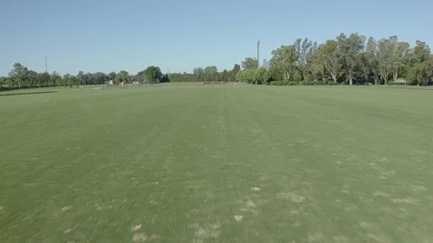 Polo player at full speed Stock Footage 127782023