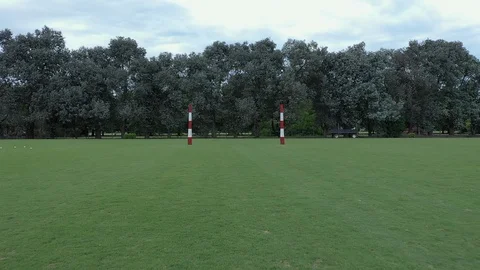 Polo player at full speed Stock Footage 127782689