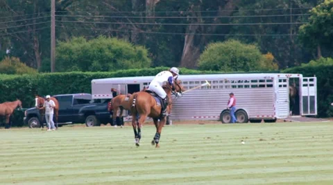 POLO PLAYER HITS BALL Stock Footage 7134655