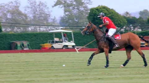 POLO PLAYER WHACKS BALL Stock Footage 7135057